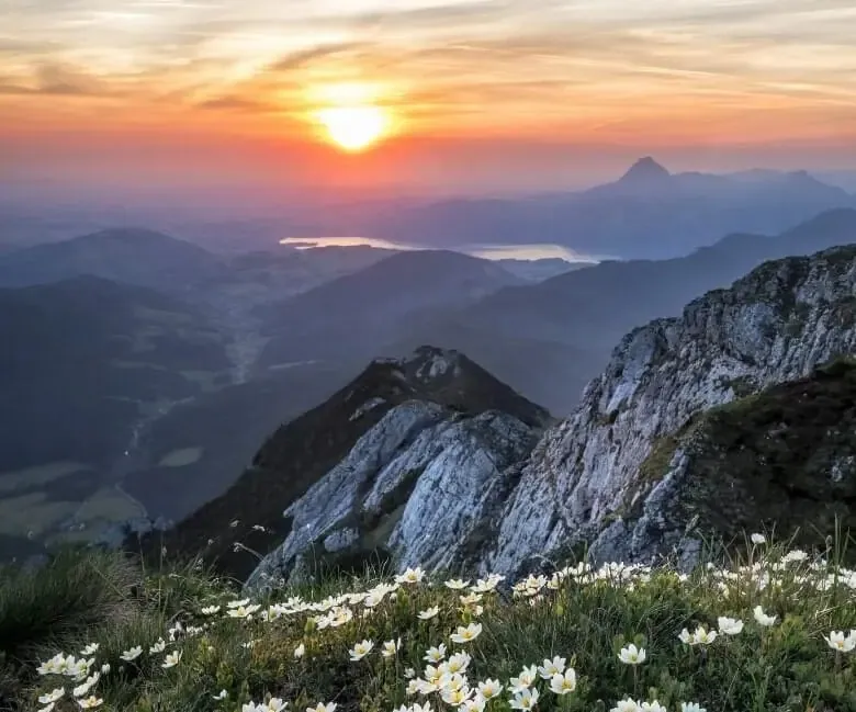 Sun setting over hazy mountain ridges and a distant lake, seen from a rocky summit with white wildflowers — cover image for the Applied Weather Associates website project