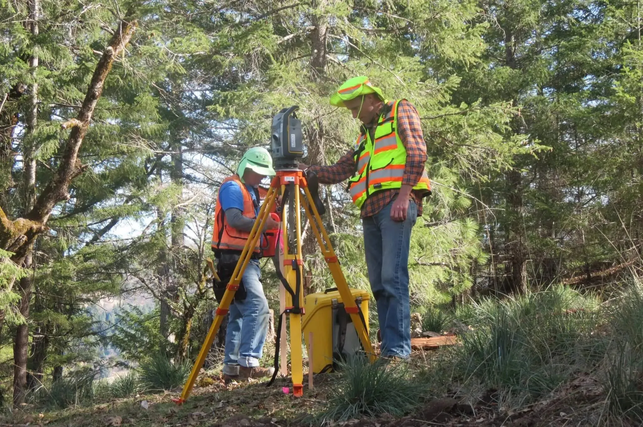 Two surveyors in safety vests setting up a total station on a yellow tripod in a conifer forest — cover image for the LACO Associates website project
